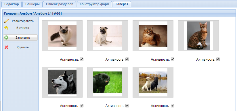 Canape CMS 3.x > Фотоальбомы > albom-4.png